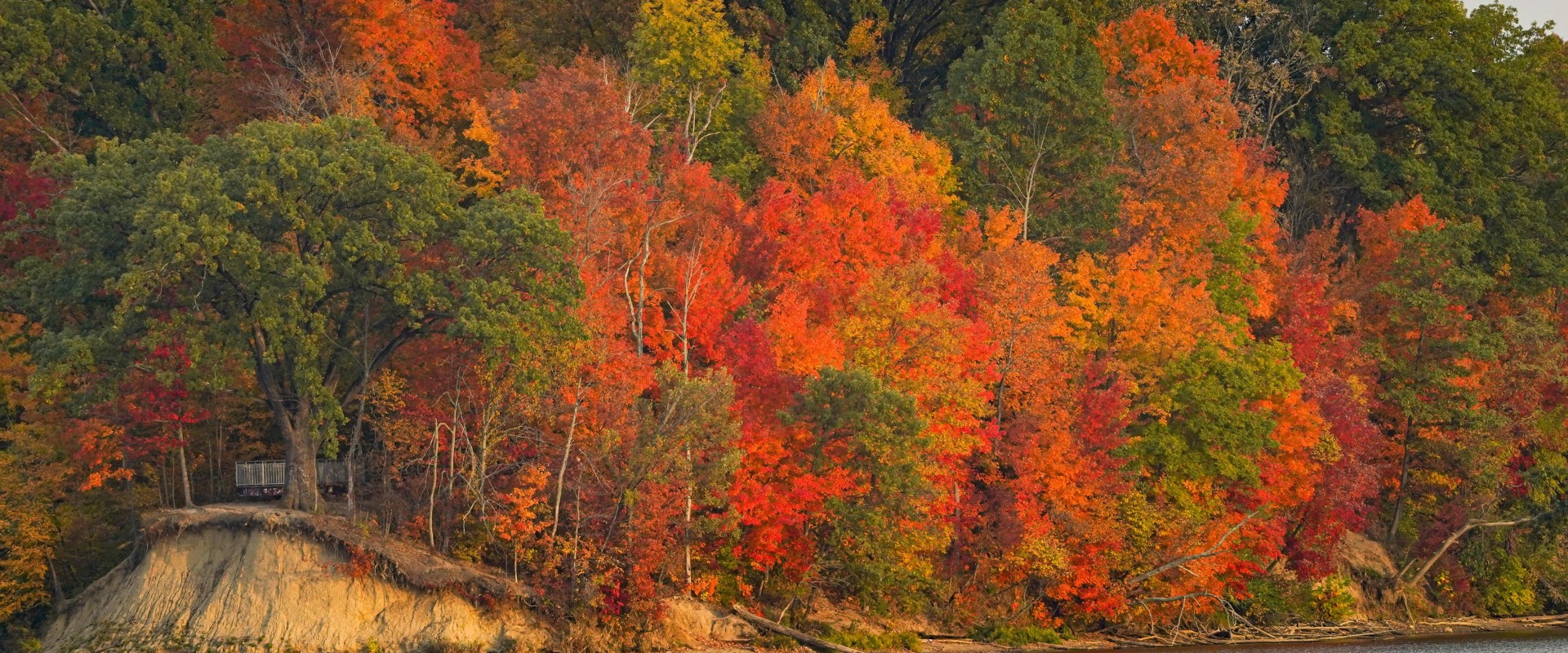 Fall Foliage Predictions for Indianapolis: What to Expect This Season
