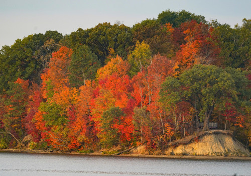 Fall Foliage Predictions for Indianapolis: What to Expect This Season